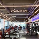 팀터틀랫유성