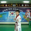 홍인태권도 이미지