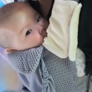 요리조리 동화요리사B | 5개월 아기 코엑스에서 하루종일 놀기 / 무탄 / 씨라이프 코엑스 아쿠아리움 다녀온 후기!