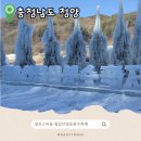 칠갑산산꽃마을영농조합법인 | 겨울 청양 알프스마을 칠갑산얼음축제 축제 기본정보 주차안내 꿀팁