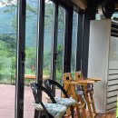 정선애 장어 먹으러 와요 | 정선장어맛집 민물장어 정선애장어 먹으러 와요 직접구워주시니 너무 좋음!