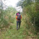 주곡숲 버스정류장 이미지