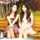 한채이 카카오 검색결과