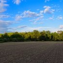 해담행정사 사무소 이미지