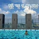 힐튼 가든 인 서울 강남 | 힐튼 가든 인 서울 강남 퀸 패밀리 호캉스 루프탑 수영장 후기