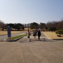 달성공원 이미지