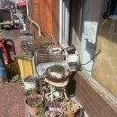 제주 삼화지구 옆에 있는 튀김이 맛있는 분식집, 착한튀김
