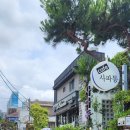 사파동266 이미지