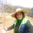 장순농장 네이버블로그