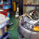 차모아랜드 이미지