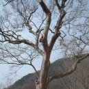 덕치면사무소 이미지