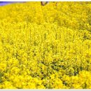 지하철 양산역 이미지