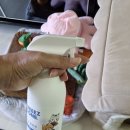 이웃사랑힐스 | [내돈내산] 고양이 발바닥 냄새의 비밀 &amp; 꼬릿한 집안 고양이 냄새 완벽 해결 탈취제 솔직 후기