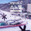강촌카써비스 | 홍천 비발디파크 스키장 시즌권부터 2025 개장일, 아이와 추천 놀거리까지