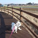 광역코스 이미지