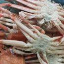 알찬대게 이미지