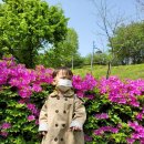 경일공원 이미지