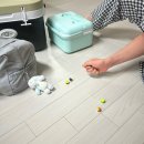 델루나 민박 | 삼척 여행