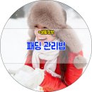 단국대 MTA 태권도 네이버블로그