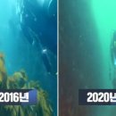 태풍이 슈퍼