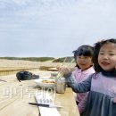 천지태양광발전소 이미지