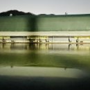 천지연낚시터 이미지