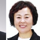 정애향