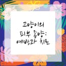 하나사랑동물병원 네이버블로그