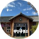 성진흑염소탕전골 | 춘천 보양 맛집, 약선흑염소 흑염소탕 후기