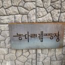 농다리캠핑장 이미지