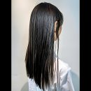 반려동물패션디자이너첫걸음 | 염색 필요성 폭발! 내 머릿결 구원할 신도림염색 찐맛집 등장!