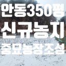 녹지로(녹전면) 이미지