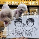 썬더치킨 구포1호점 | 부산 1박 2일 애견동반 여행🐶 송도부터 해운대까지 무계획 P가족의 여행 성공기😊