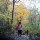 중앙레스파 이미지