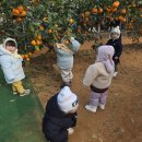 은호농장 이미지