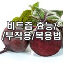 비트 이미지