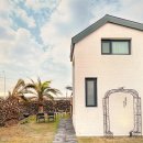 세나쿠룸 제주 네이버블로그