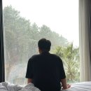 호텔 서귀피안 | 제주도 가성비호텔 서귀피안 호텔 트윈룸 후기