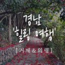 의령군농업기술센터 | 🌿연휴 전 가볍게 떠나는 경남 힐링 여행) 거제 장사도해상공원 &amp; 의령 아열대식물원