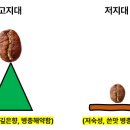 세상드림 이미지