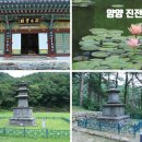 양양 진전사지 도의선사탑 | 양양 가볼만한곳 진전사지 신라시대 국보 삼층석탑과 보물 도의선사탑