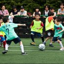 태릉초등학교 1학년 이채운의 축구경기- 이미지