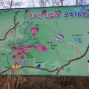 돌고개로 이미지