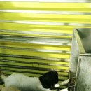 하늘소리목장 이미지