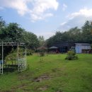 속초 애견펜션 양양 해피 플레이스 이미지