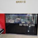 서우축산 네이버블로그