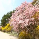 홍천리조텔 이미지