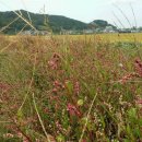 산들마을 이미지