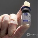 보란파마