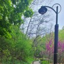 충훈공원 옆 이미지